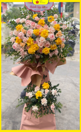 Cây Hoa Chúc Mừng – CH001