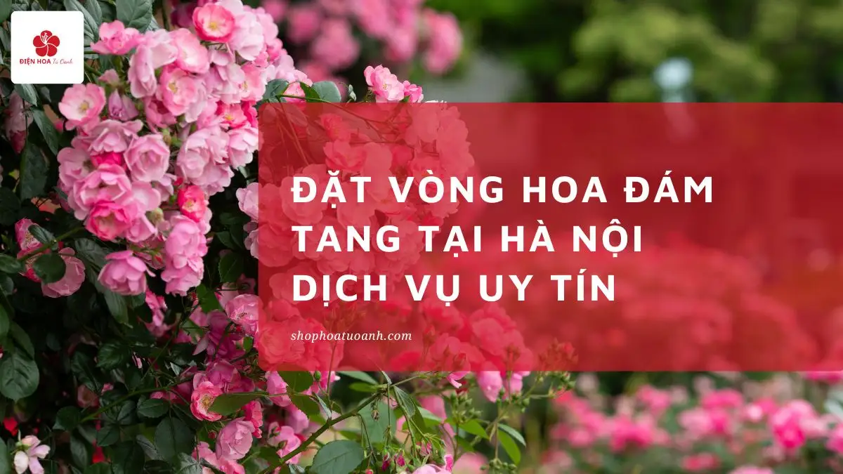 Vòng Hoa Đám Tang Hà Nội: Mẫu Đẹp, Giao Nhanh 24/7