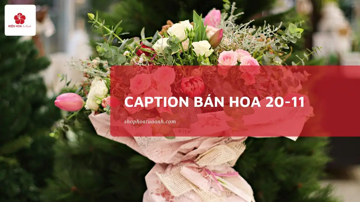 30 Caption bán hoa 20/11 Hay, Tăng doanh số cho Shop Hoa