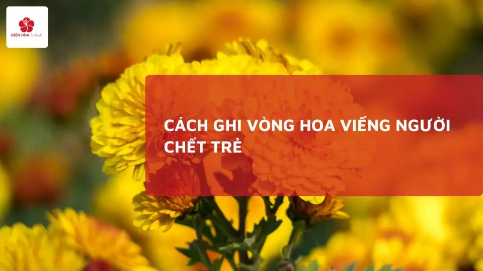 6 Cách ghi vòng hoa viếng người chết trẻ ý nghĩa nhất