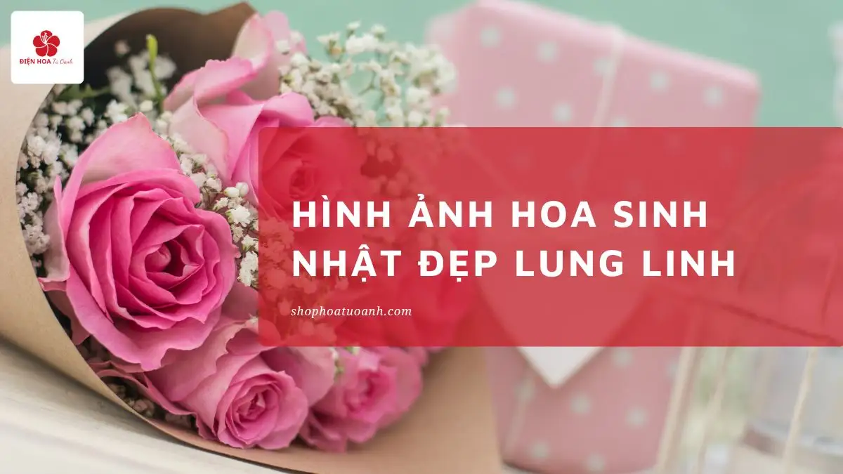 30+ Hình Ảnh Hoa Sinh Nhật Đẹp Lung Linh Nhất