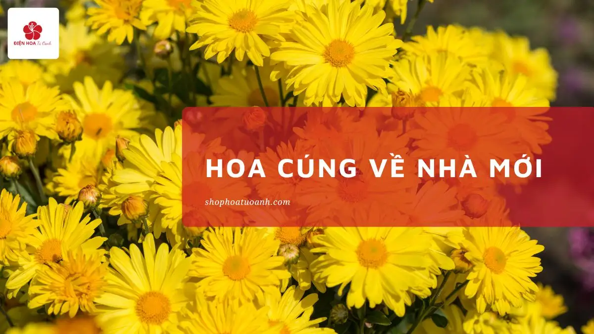 5 Loại Hoa Cúng Về Nhà Mới Mang Lại May Mắn, Tài Lộc