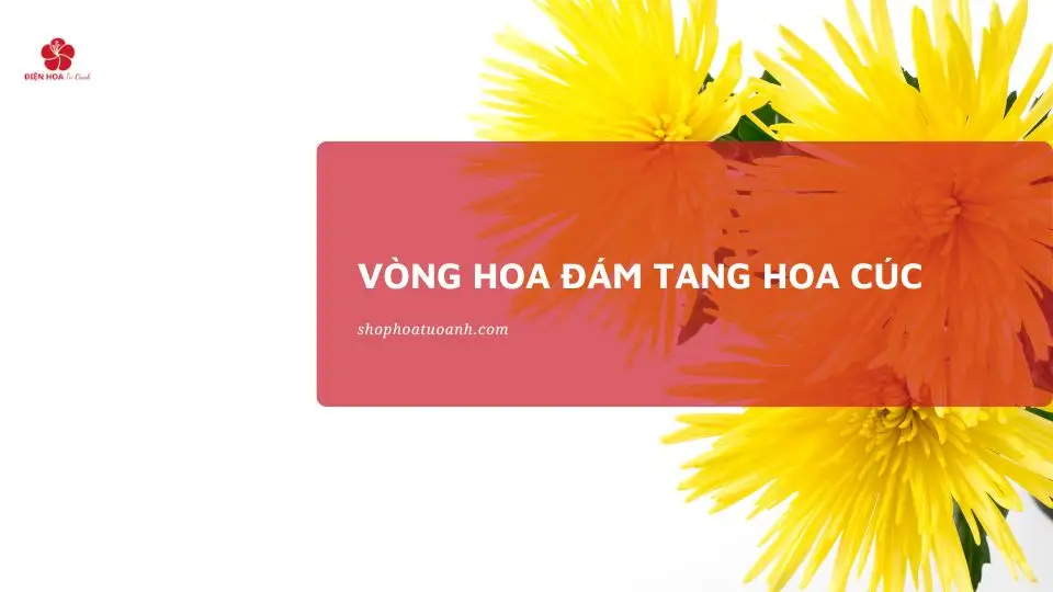 Đặt Vòng Hoa Đám Tang Hoa Cúc | Giao Nhanh, Uy Tín