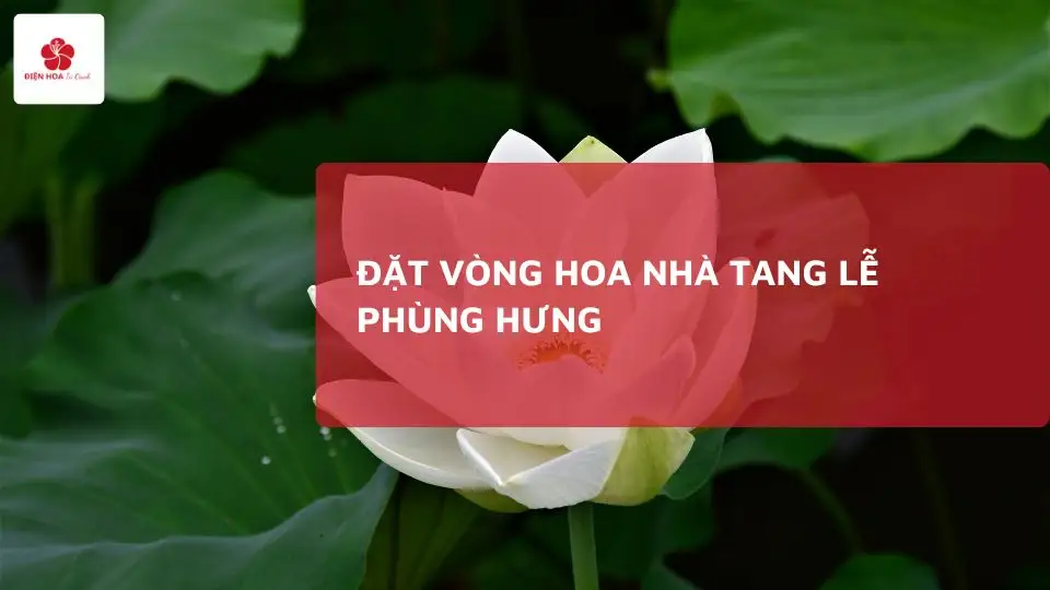 Đặt Vòng Hoa Nhà Tang Lễ Phùng Hưng Uy Tín, Giá Tốt