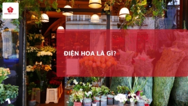 Điện hoa là gì? Nguồn gốc, Cách hoạt động và Lợi ích