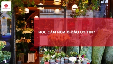 Học cắm hoa ở đâu? 6 Tiêu chí chọn, Địa điểm đào tạo uy tín