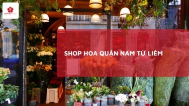 Shop hoa tươi quận Nam Từ Liêm: Tiêu chí chọn, Cách đặt hoa