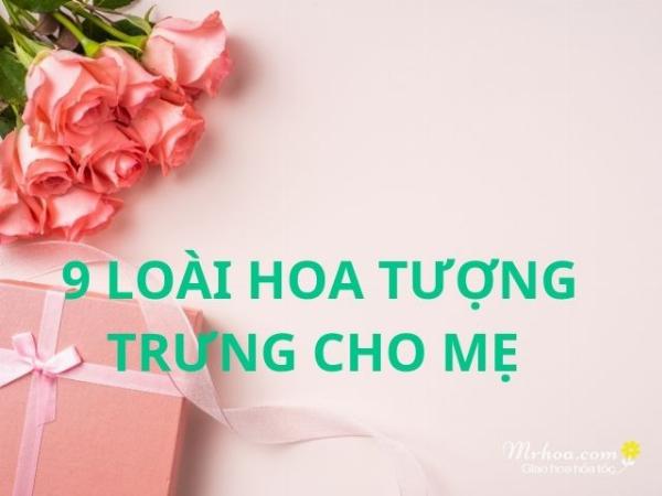 Giỏ hoa cẩm chướng hồng và trắng tặng mẹ thể hiện tình yêu thương và lòng biết ơn