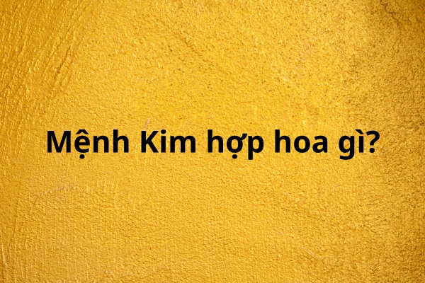Mệnh Kim Hợp Hoa Gì? Bí Quyết Chọn Hoa Chuẩn Phong Thủy Hút Tài Lộc