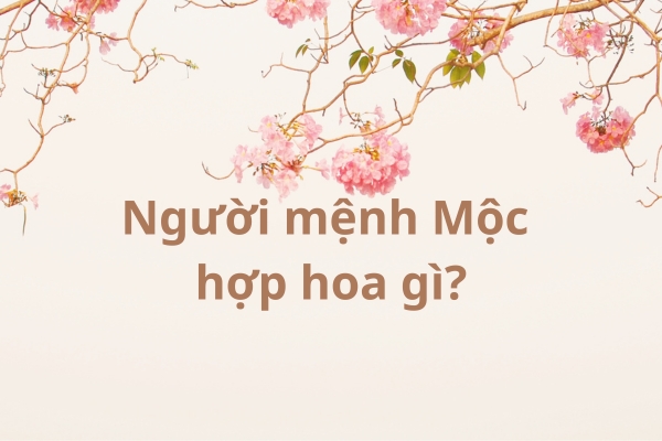 Mệnh Mộc Hợp Hoa Gì Thu Hút Tài Lộc và May Mắn Vượt Trội?