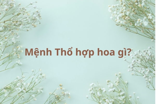 Mệnh Thổ Hợp Hoa Gì? Thu Hút Tài Lộc, May Mắn Với Lựa Chọn Chuẩn Phong Thủy
