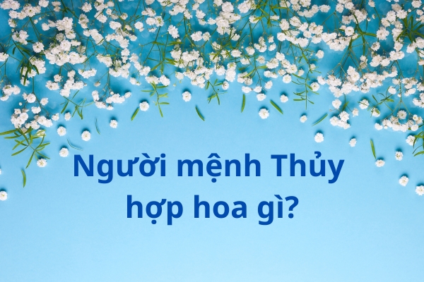 Mệnh Thủy Hợp Hoa Gì? Bí Kíp Chọn Hoa Phong Thủy Kích Tài Lộc