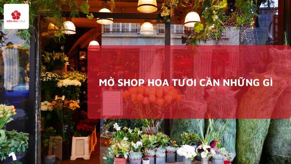 Mở Shop Hoa Tươi Cần Những Gì? Hướng Dẫn Chi Tiết Từ A-Z