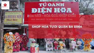 Shop Hoa Tươi Quận Ba Đình Uy Tín Đáng Mua Nhất 2025