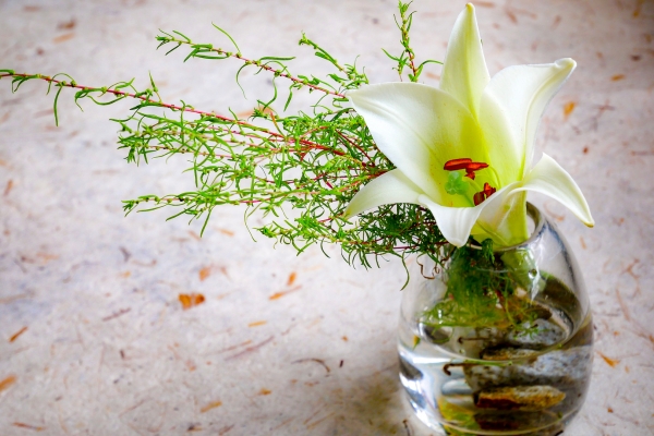 Dạy Cắm Hoa Huệ: Bí Quyết Từ Chuyên Gia Điện Hoa Tú Oanh
