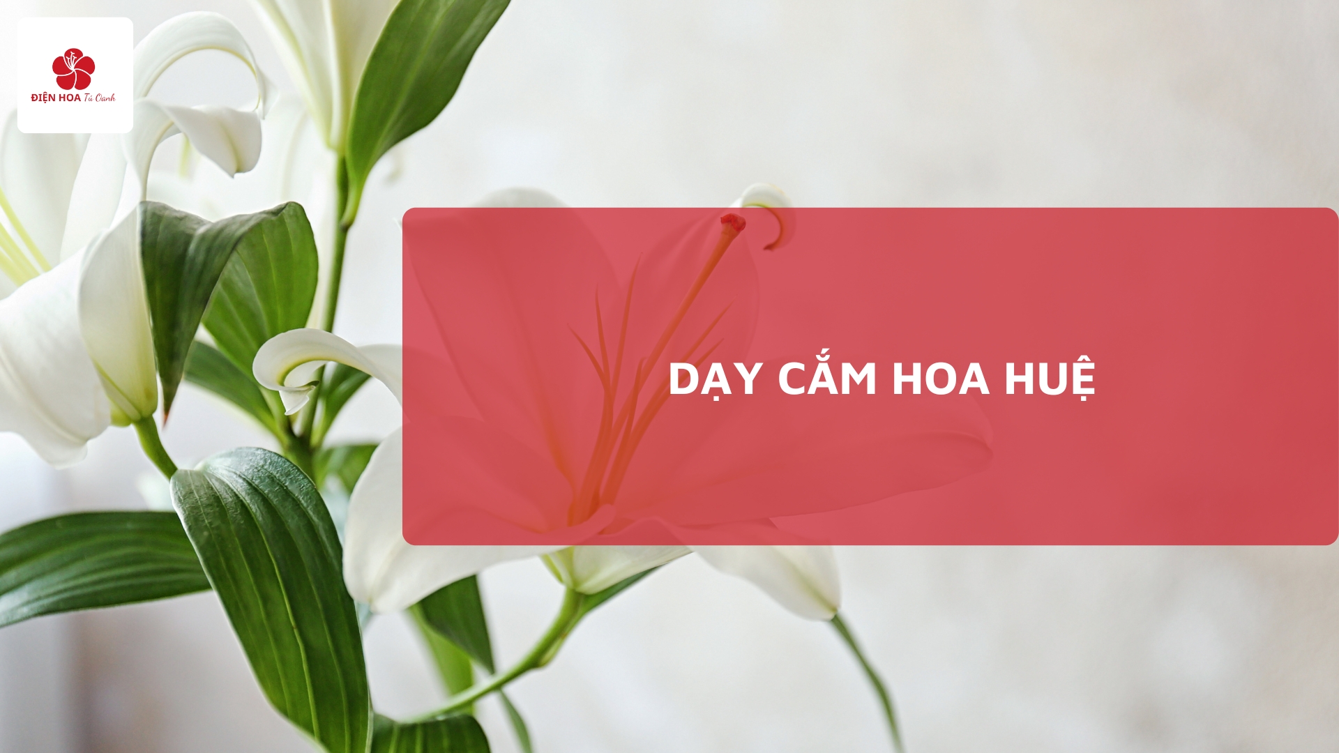 Dạy cắm hoa huệ: Dụng cụ, Kỹ thuật cắm, Phong cách cắm