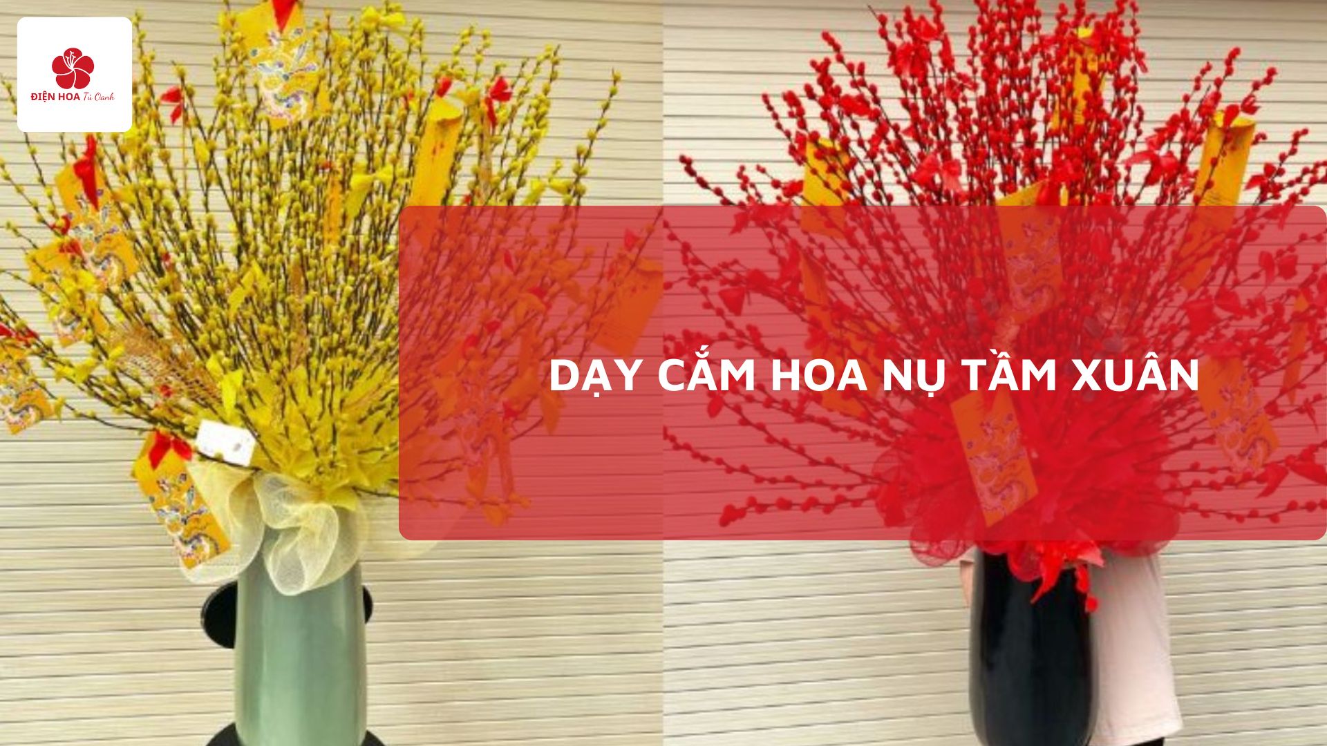 Dạy cắm hoa nụ tầm xuân: Dụng cụ, Hướng dẫn, Kiểu cắm