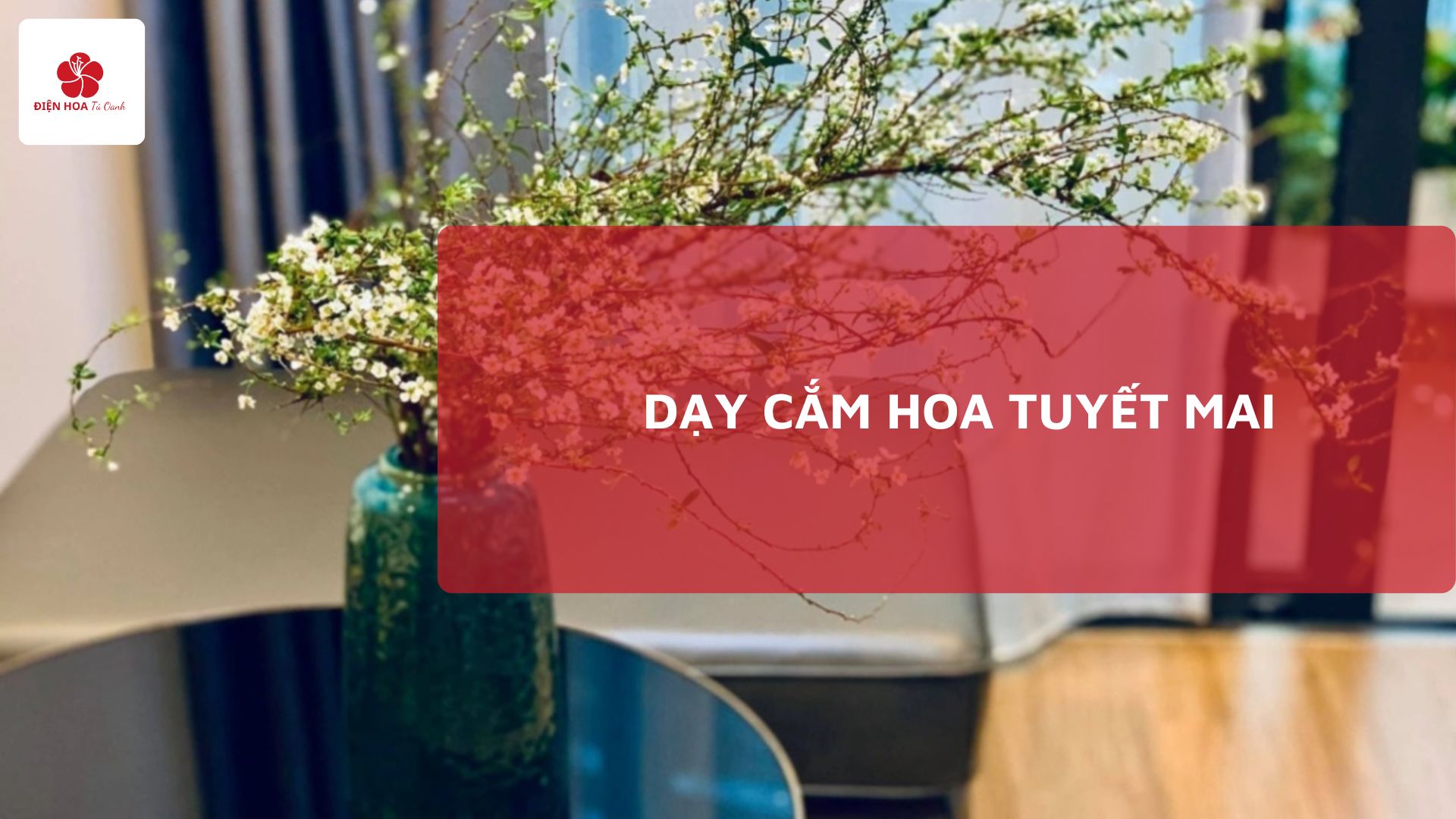 Dạy Cắm Hoa Tuyết Mai: Cách chọn, Kỹ thuật cắm, chăm sóc