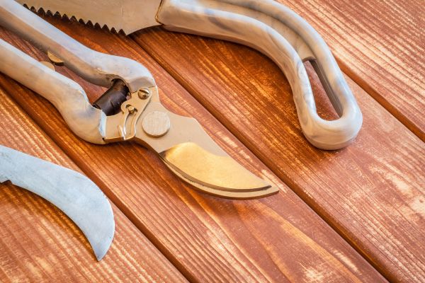 Dụng Cụ Mở Shop Hoa: Danh Mục Cần Thiết & Kinh Nghiệm Chọn Lọc