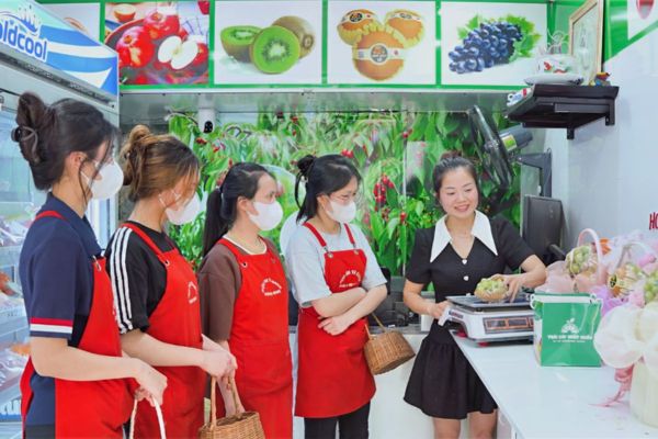 Học Cắm Hoa Có Khó Không? Bí Quyết Cho Người Mới Bắt Đầu