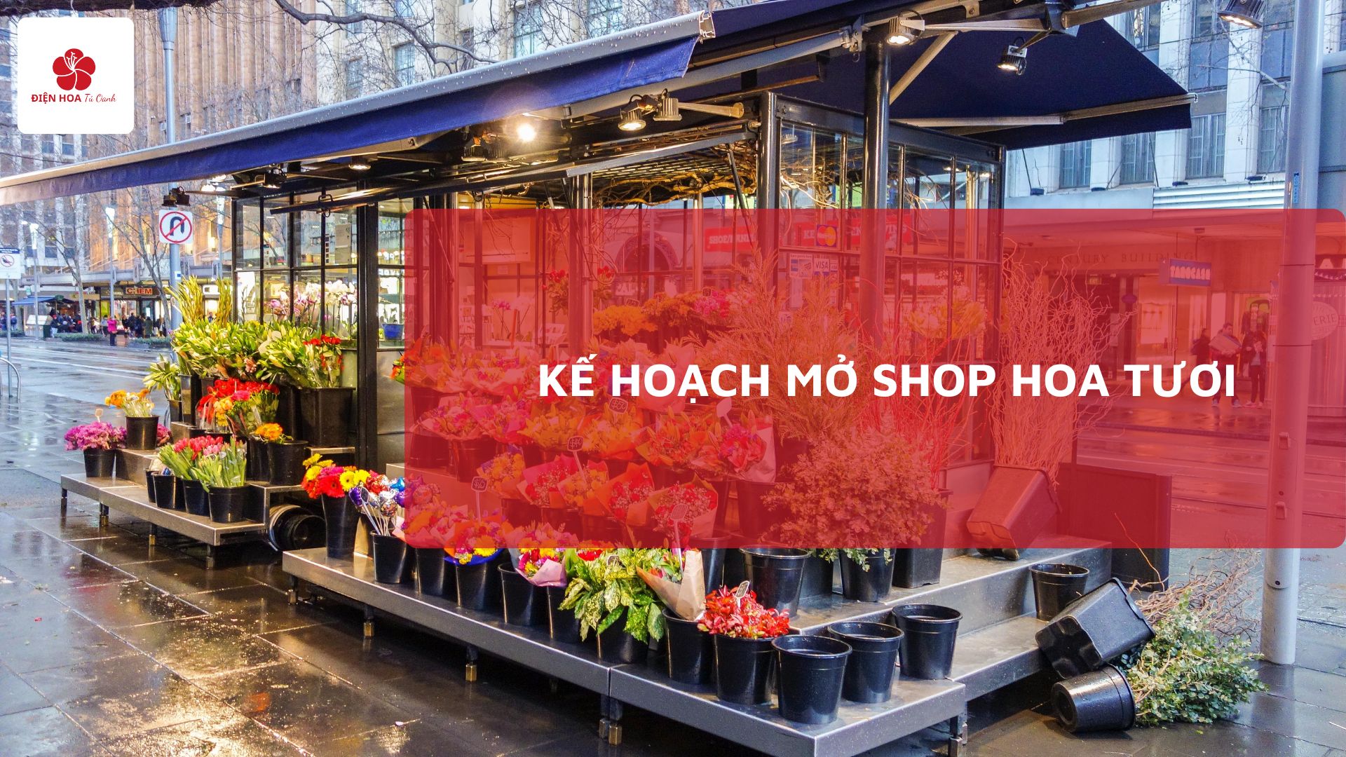 Kế hoạch Mở Shop Hoa Tươi Thành Công: Từ A Đến Z