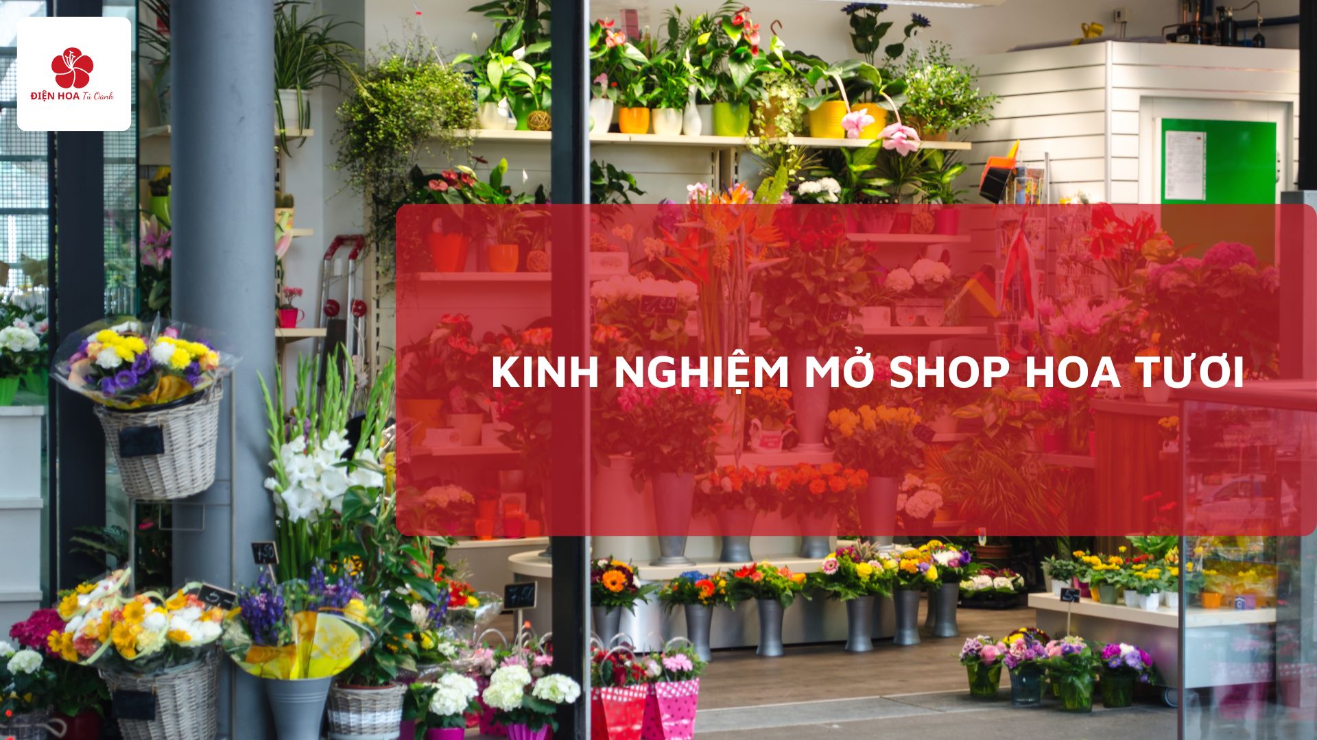 Kinh Nghiệm Mở Shop Hoa Tươi Thành Công Từ A Đến Z