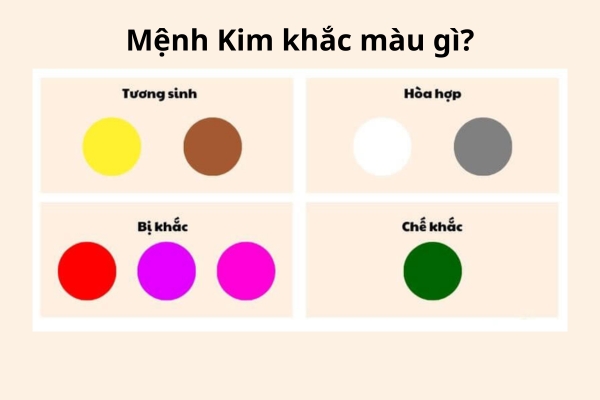 Mệnh Kim Hợp Hoa Gì? Bí Quyết Chọn Hoa Chuẩn Phong Thủy Hút Tài Lộc
