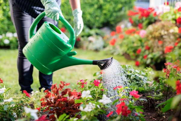 Mệnh Kim Hợp Hoa Gì? Bí Quyết Chọn Hoa Chuẩn Phong Thủy Hút Tài Lộc