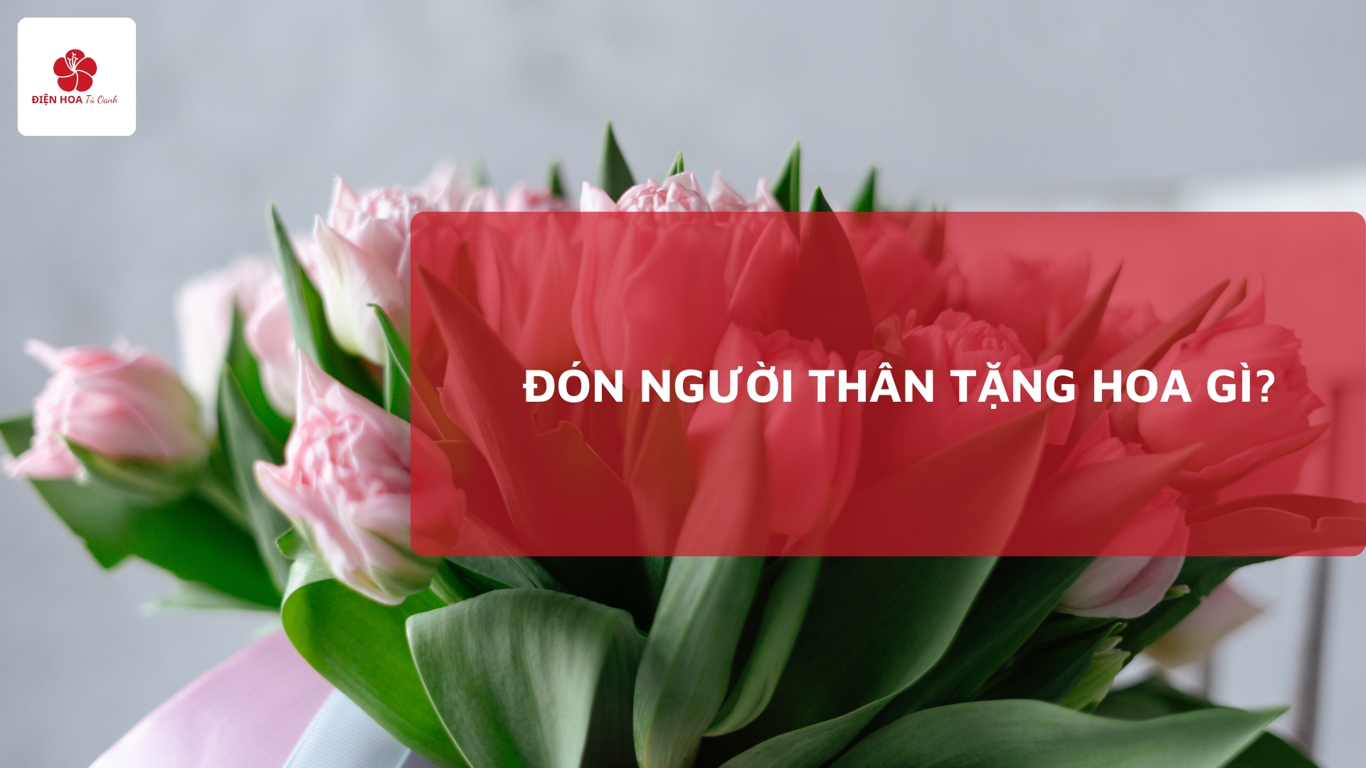 Đón Người Thân Tặng Hoa Gì? Gợi Ý Tinh Tế Từ Tú Oanh