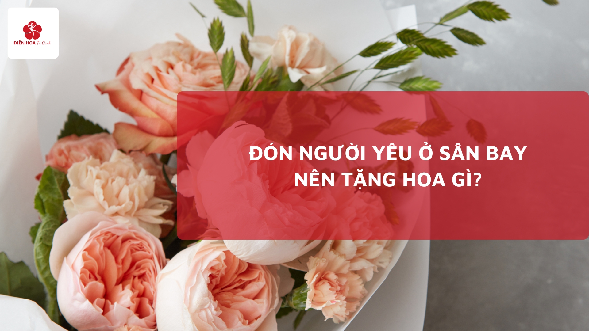 Đón Người Yêu Ở Sân Bay Nên Tặng Hoa Gì? Những Gợi Ý Tuyệt Vời