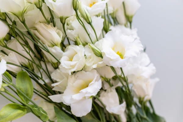 Nên Tặng Hoa Gì Cho Mẹ? Gợi Ý Hoa Tươi Ý Nghĩa Nhất