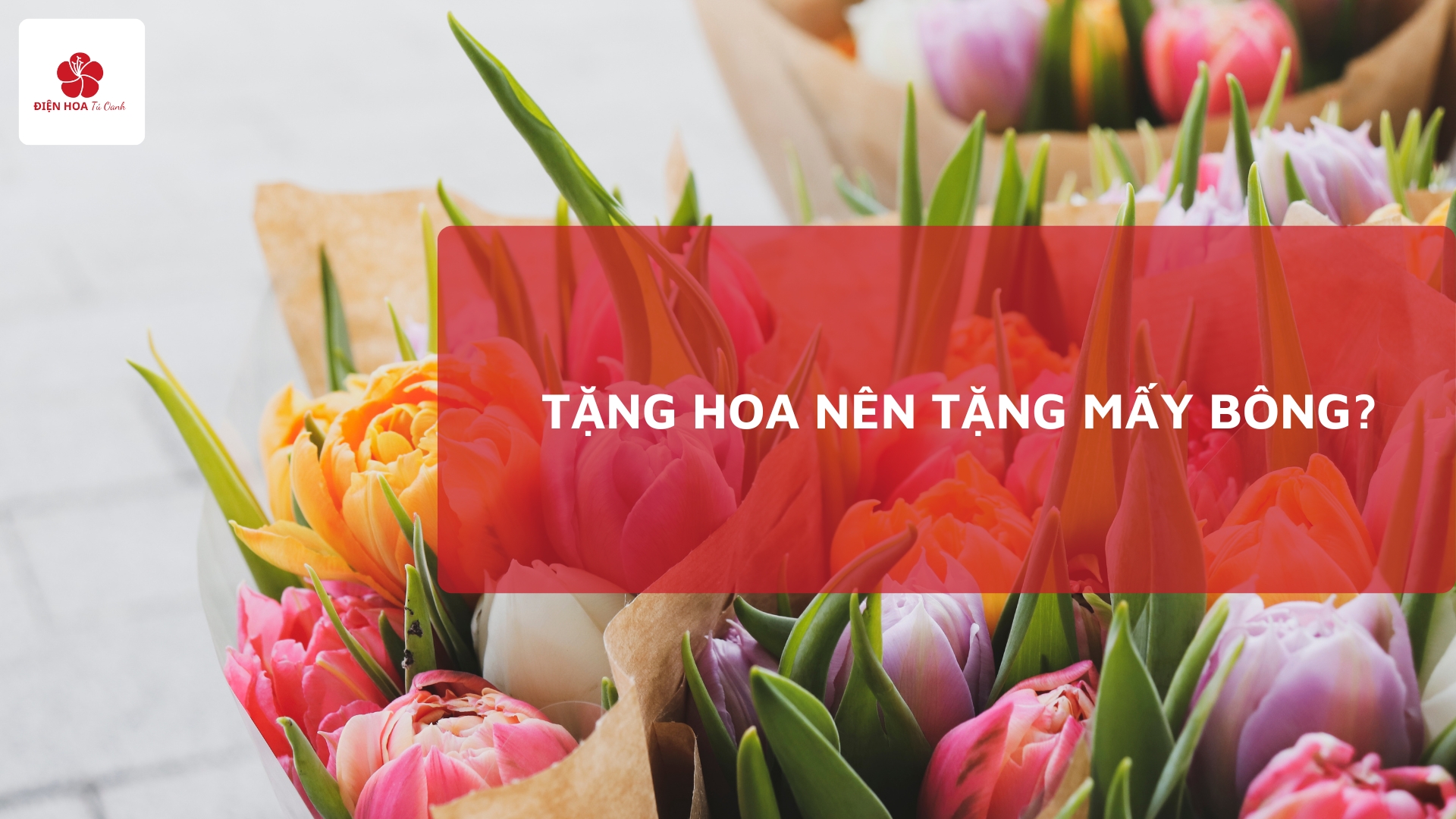 Tặng Hoa Nên Tặng Mấy Bông? Ý Nghĩa Số Lượng Hoa Tươi