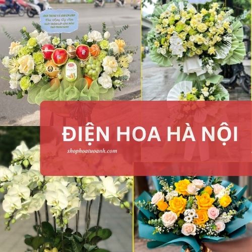Điện hoa Hà Nội – Miễn ship giao hoa nhanh trong 30 phút