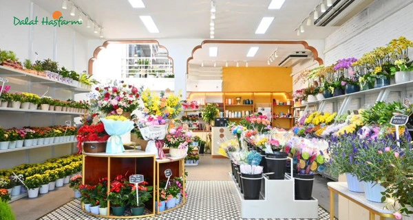Top 7 shop điện hoa Hà Nội nổi tiếng, uy tín 5 Hoa Tươi Dalat Hasfarm