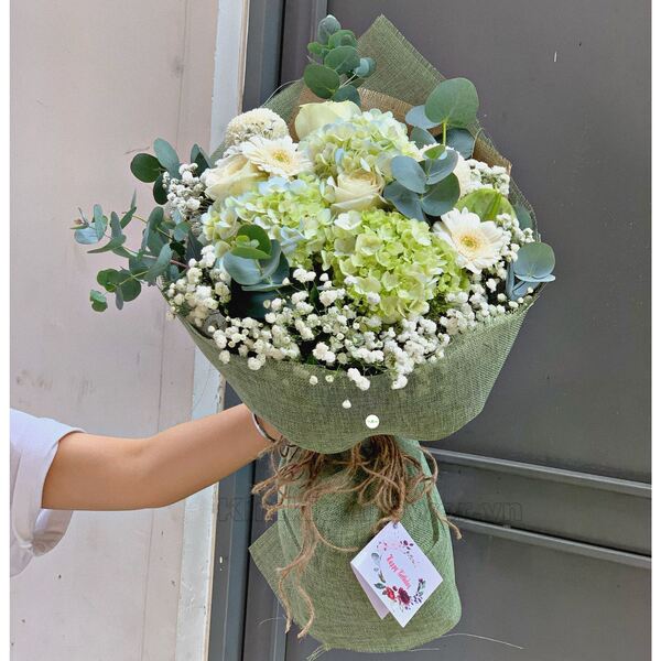 Ý nghĩa hoa cẩm tú cầu xanh