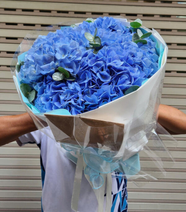 Ý nghĩa hoa cẩm tú cầu xanh