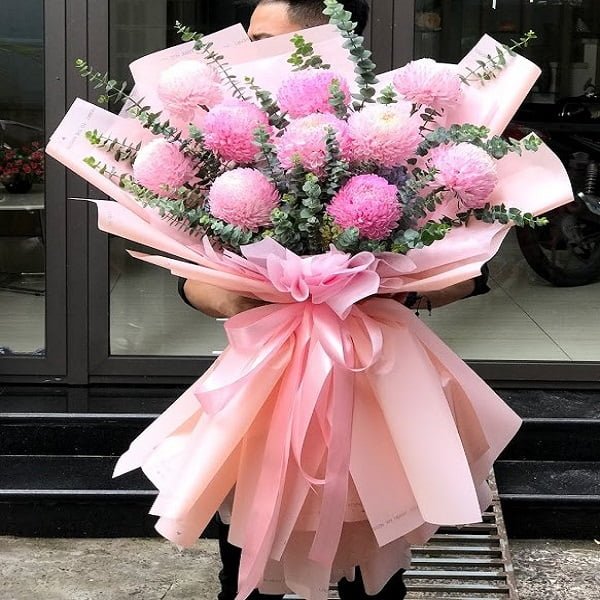 Top 10 loài hoa ý nghĩa từ điện hoa Hà Nội dành tặng ngày Nhà Giáo Việt Nam 20/11