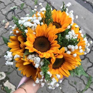 Hoa cưới hướng dương