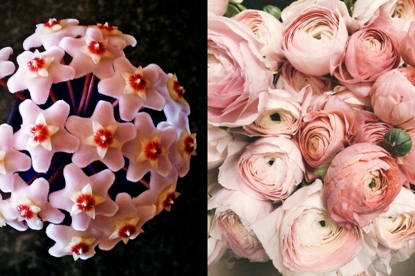 Điện hoa Hà Nội