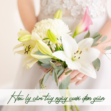 Hoa cưới – Tìm hiểu ý nghĩa của một số loài hoa phổ biến