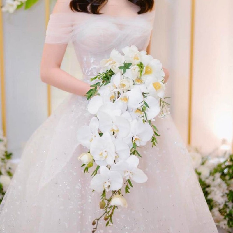 Hoa Lan – Sự quyến rũ và tinh tế