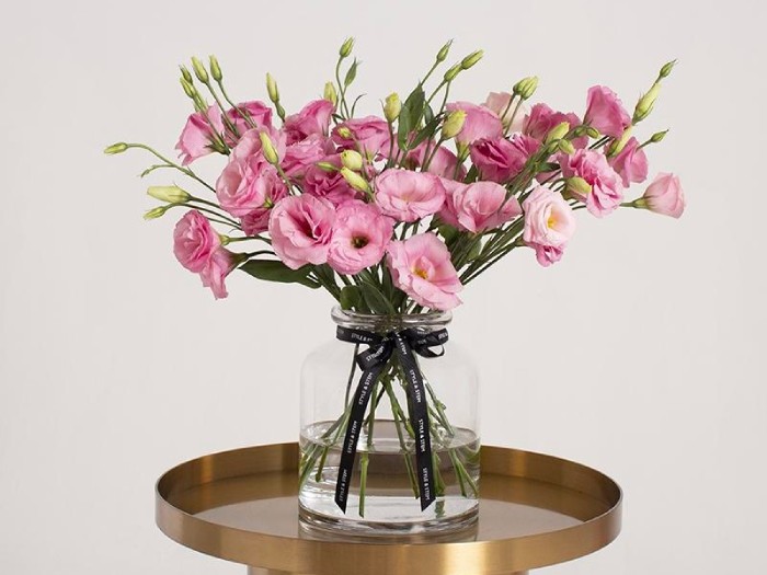 Các loại hoa thích hợp cho không gian làm việc giúp tăng năng lượng & sự tập trung