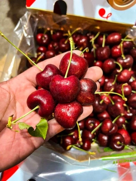 Hoa Quả – Cherry C002