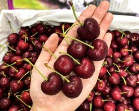 Cherry Nhập Khẩu C003