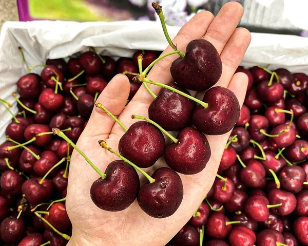 Cherry Nhập Khẩu C003